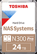 N300 Pro 24TB