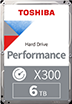 X300 6TB