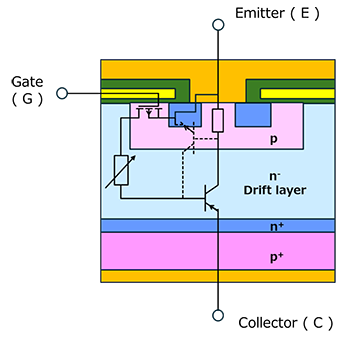 Fig. 3 IGBT structure diagram：A p+ layer is added to the n+ layer on the drain side of the MOSFET to function as a collector. This structure actually causes the parasitic BJT shown in Figure 4 to exist.